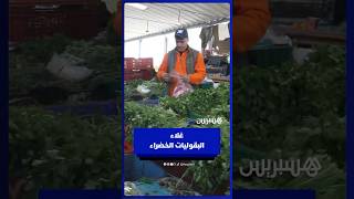 أسعار البقوليات الخضراء .. “المعدنوس” و”الكرافس” يقفزان إلى مستويات غير مسبوقة thumbnail