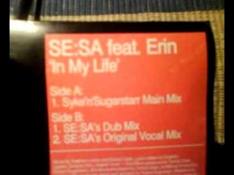 se:sa feat. erin - in my life