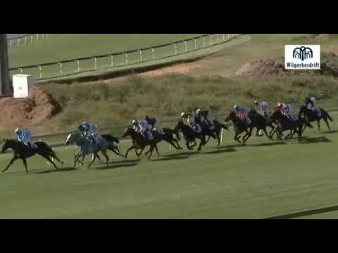 SA Fillies Classic - Summer Pudding