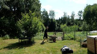 From scythe to robot mower: big upgrade on the homestead | Testing the Navimow X420 robot mower