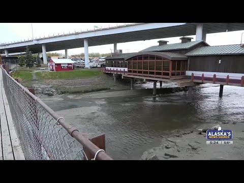Awaiting the arrival of the first king salmon in Ship Creek