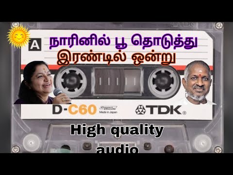 NARINIL POO THODUTHU | IRANDIL ONDRU | ILAYARAJA | CHITRA | நாரினில் பூ தொடுத்து | இரண்டில் ஒன்று