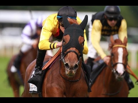 Hannover: VTV-Cup der R+V Vereinigte Tierversicherung (D) - Siegerin: Oriental Light