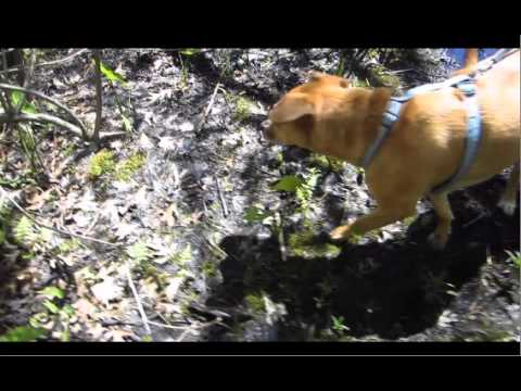 DJ Moppy - Grover Bass