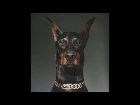 [FREE] Headie One x Central Cee Type Beat 2021 - "Gangbiz" - Melodic Drill Instrumental