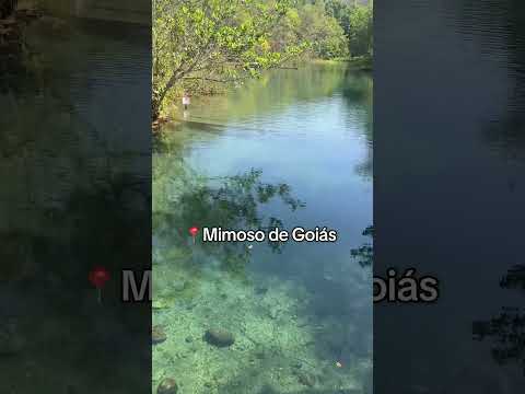 Mimoso de Goiás
