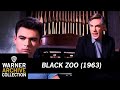 Black Zoo (Preview Clip)