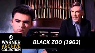 Preview Clip | Black Zoo | Warner Archive