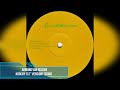 Armand Van Helden - Koochy (12" Version) [2000]