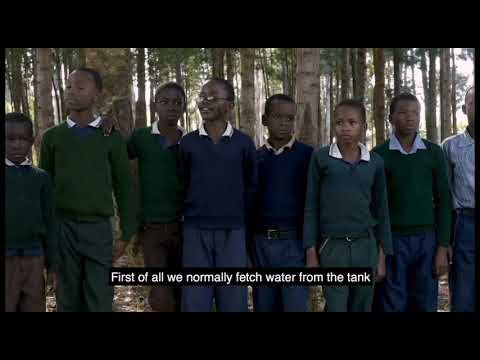 Transitioning villages to agroforestry in Tanzania