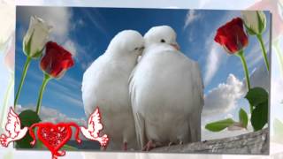 Franqoise Hardy -- C ' Est L'Amour Je Pense