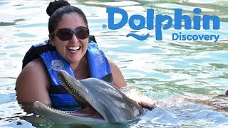 Dolphin Encounter | Shore Excursions | Royal Caribbean Cruise | Costa Maya, Mexico