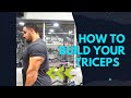 How To Perform Triceps Extensions