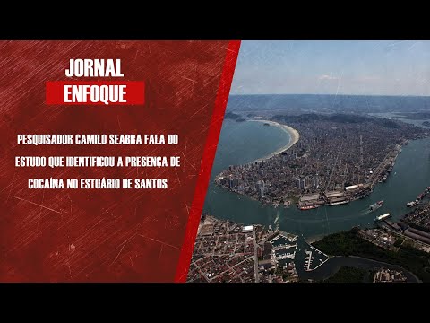 Estudo revela presença de cocaína no estuário de Santos