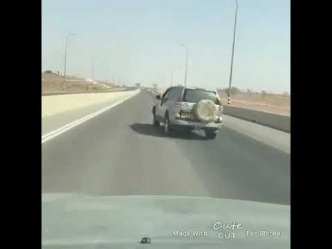يابو ضحكه يمدلل شيب امشيبني