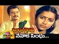 Sindhu Bhairavi Telugu Movie Songs Nenoka Sindhu Telugu Video Song Suhasini Sivakumar