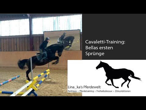 Rückenmuskeltraining: Stangen und Cavaletti-Training