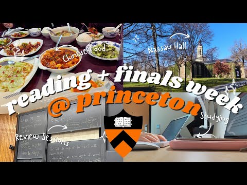 Princeton University Reading Week + Finals Week Study Vlog | college freshman fall semester