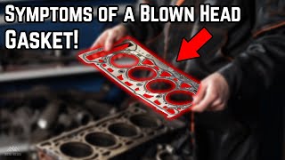 Signs & Symptoms of a Blown Head Gasket!