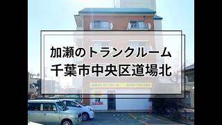 YouTube動画