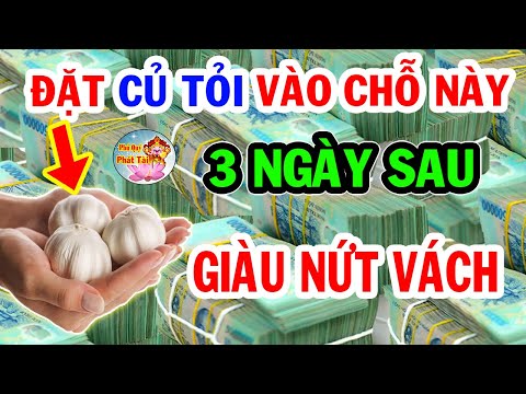 , title : 'Thầy Phong Thuỷ Chỉ Rõ Đặt Củ Tỏi Chỗ Này 3 Ngày Sau Tiền Về Ùn Ùn ĐỔI ĐỜI ĐẠI GIA | PQPT'