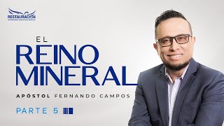 EL REINO MINERAL V- APÓSTOL JOSÉ FERNANDO CAMPOS
