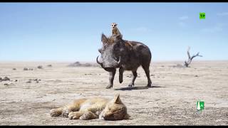 El Rey León (2019) | Escena: 'Le llamaremos Fred ' | HD