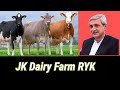 Jahangir Khan Tareen Dairy Farm Commerical Dairy Farm Modern Dairy Farming