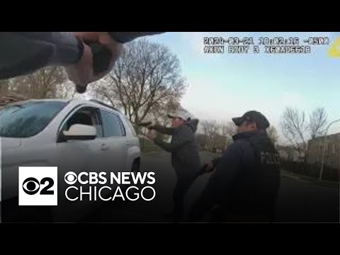 Questions remain after video released in fatal Chicago police shooting of Dexter Reed