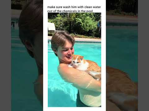 his ears aren't flat he's not growling,hissing or trying to get out the pool he's genuinely chilling