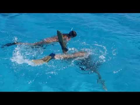 Sexy Girl Snorkeling Duck Diving Fins Kicking Down