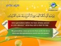 Surat Al-Ahqaf-Sheikh Saad Al Ghamdi 