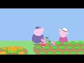 Peppa Pig World Peppa Pig Tree House The Cycle Ride More Episodes Of Peppa Pig For Kids