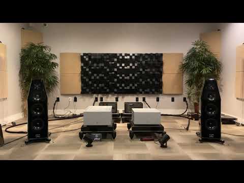 Kharma DB9-S + NAIM 300DR/252/NDX.  Shunyata power cables and power conditioning.  NAIM SuperLumina.