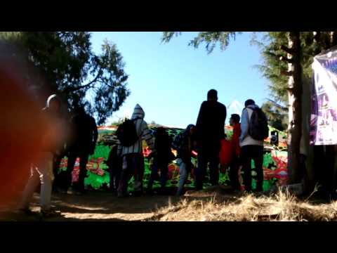 Datalordz / DMTryptamine Part 9