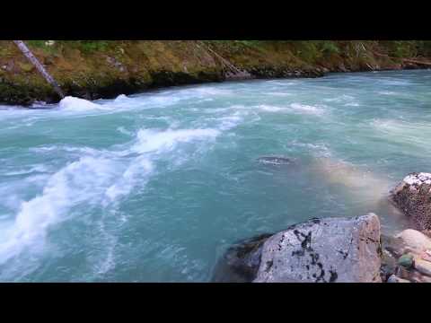 Nooksack River, Mount Baker National Forest by Brett Baunton - Wild Nooksack