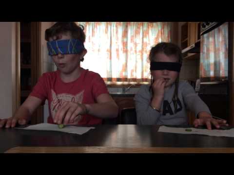 Blindfold Taste Test Challenge