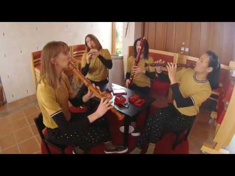 Woodpeckers play Bach! - die Kunst der Fuge BWV 1080 - Contrapunctus IX