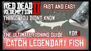 HOW TO CATCH LEGENDARY FISH IN RED DEAD REDEMPTION 2 | BEST FISHING TRICK TIP GUIDE