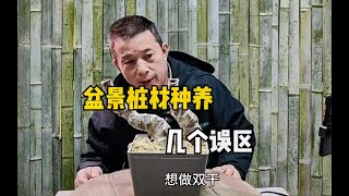 盆景桩材种养中的几个误区
