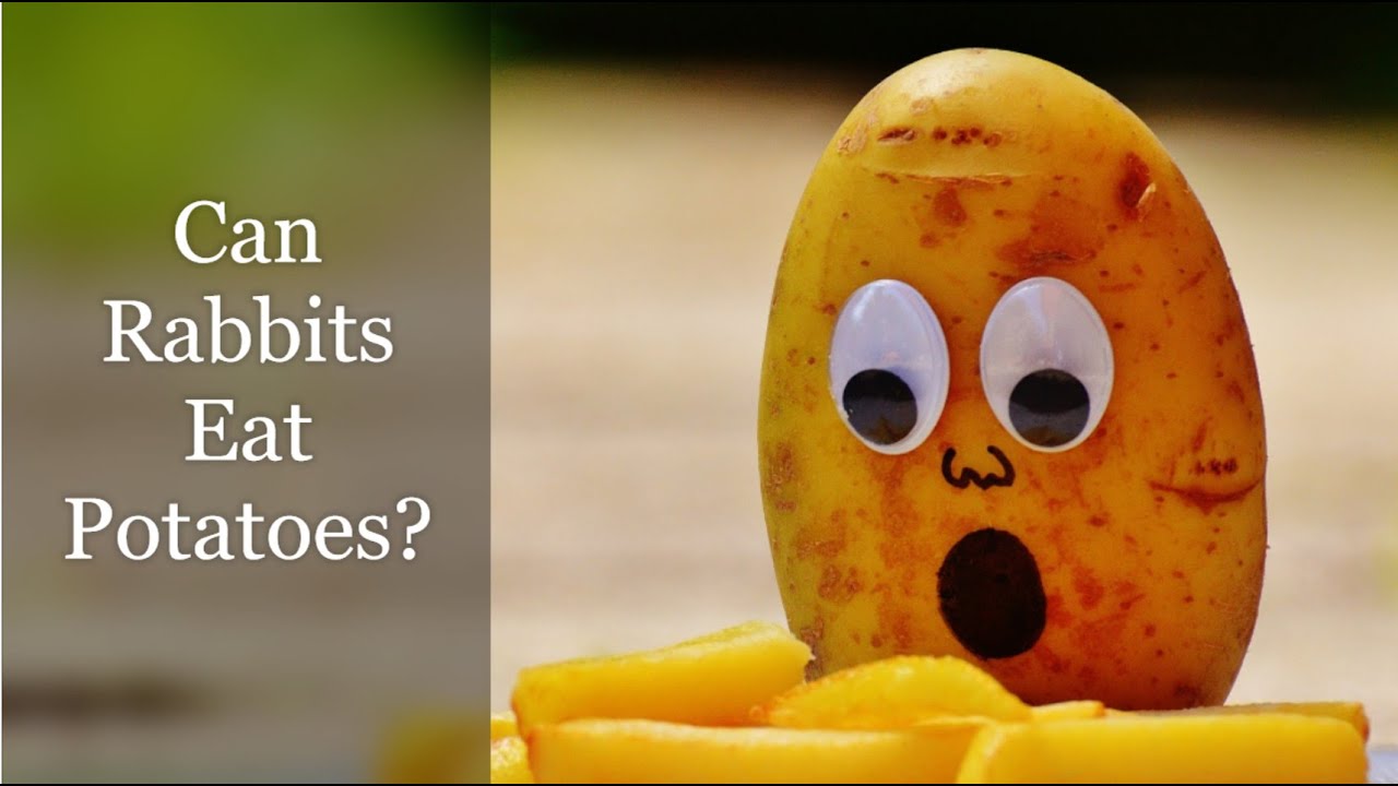 Can Rabbits Eat Potatoes