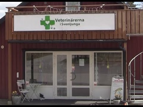 Veterinärerna i Svenljunga