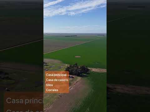 600 hectáreas Agricolas en venta en  Coronel Dorrego, Provincia de Buenos Aires