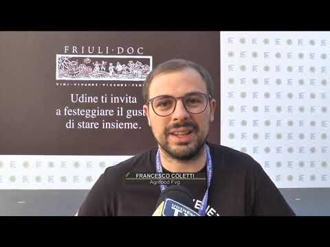 TG 24 NEWS | 10 SETTEMBRE 2022 | ore 12