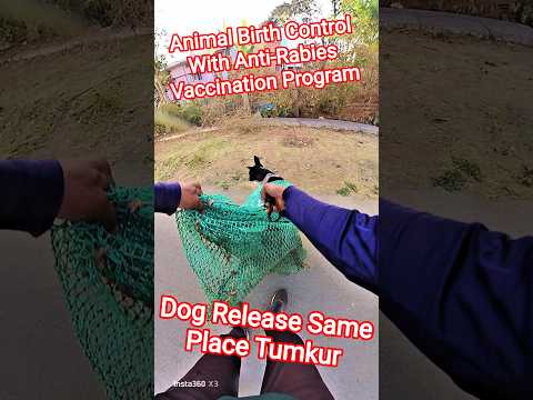 Abc Dog Release Tumkur City #dog #release #dogwithpublicsafety #ytviral #pets #dogshorts #shorts
