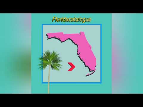 vcr-classique - Floridacatalogue (FULL ALBUM)