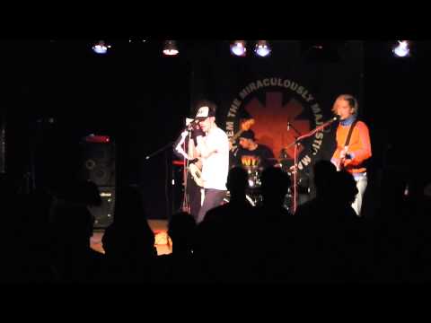 Throw Away Your Television - The Miraculously Majestic Masters of Mayhem [LIVE]