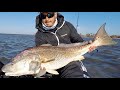 Best Cut Bait Rig For Redfish Black Drum When Fishing The Flats