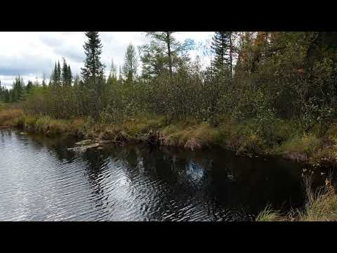 Portage - BWCA Entry Point 8 parking lot to the Moose River