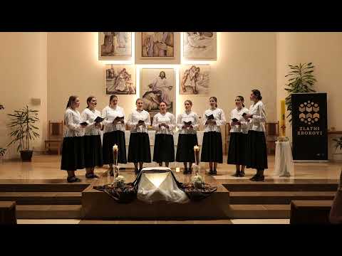 Zwizde: O, Gospojo privelika!